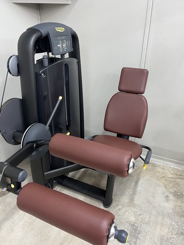 Technogym seated leg - technogym,