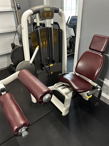 Technogym seated leg curl - technogym,